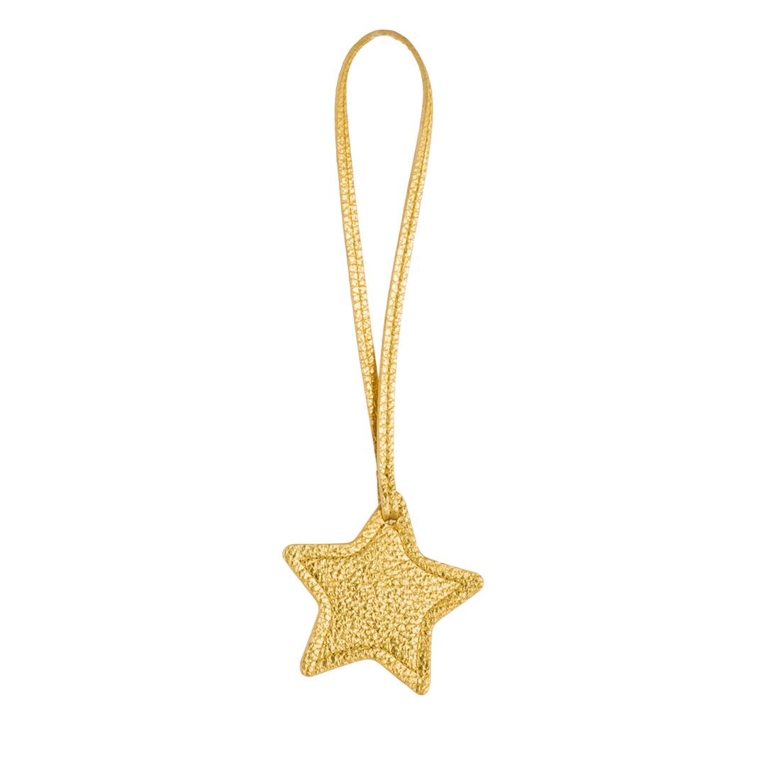 TB Charm Star - Gold